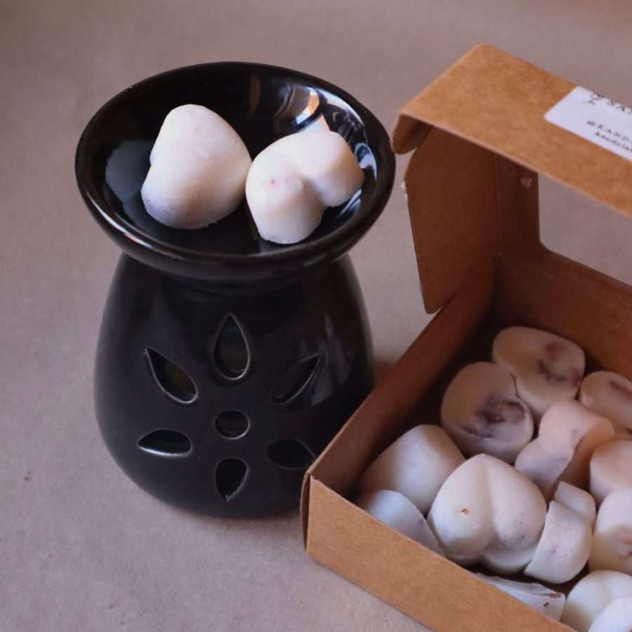 wax melts mango